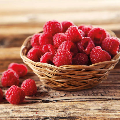 Raspberry Autumn Bliss Bare Root 10 x Canes - Grow Your Own Fresh Raspberries
