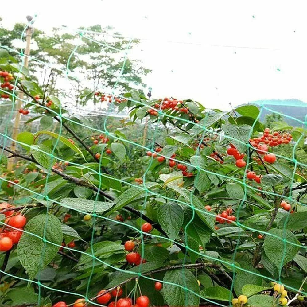 6 Anti Bird Garden Netting Pond Net Protection 2 X 10m Plant Veg Crop Fruit Mesh