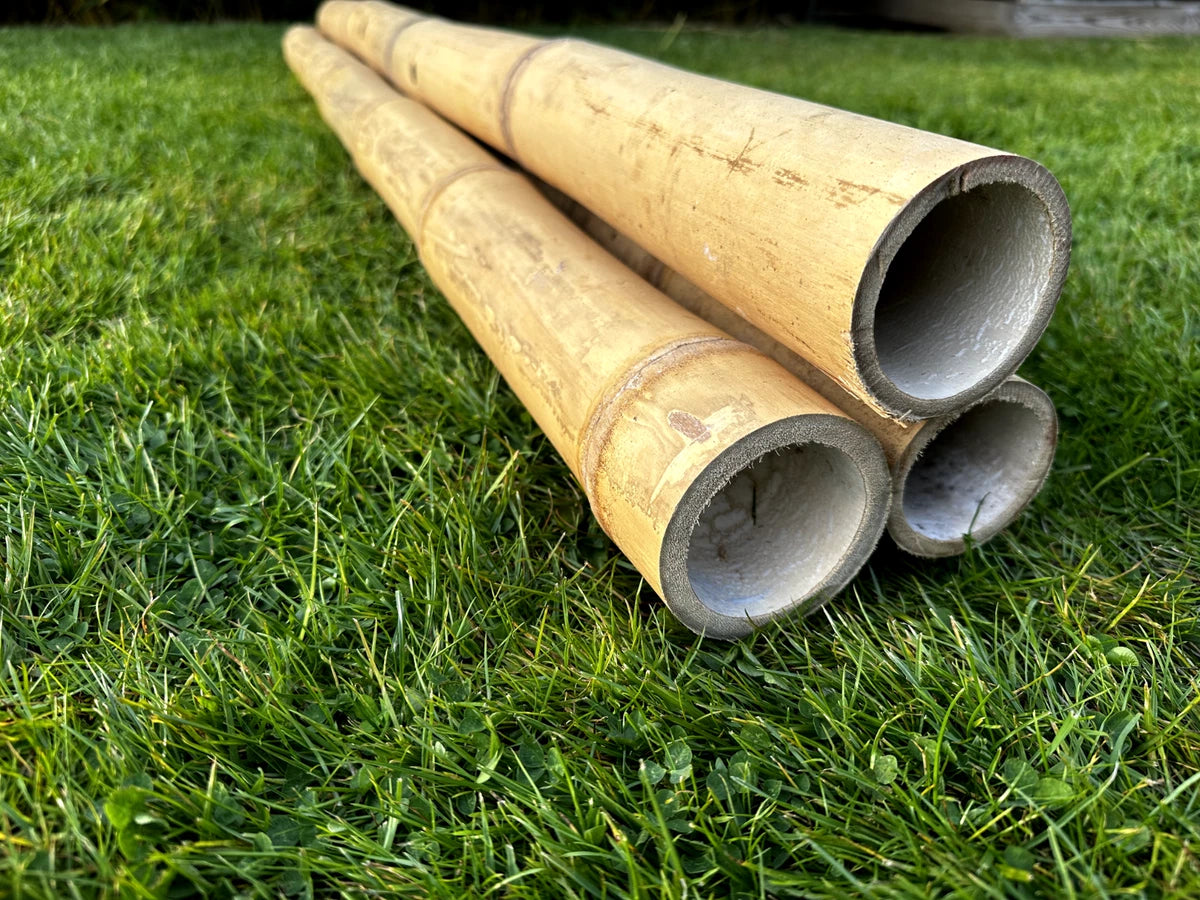 Apus Natural Bamboo Pole 4-6 cm Diameter Short Lengths - Home Garden Decoration