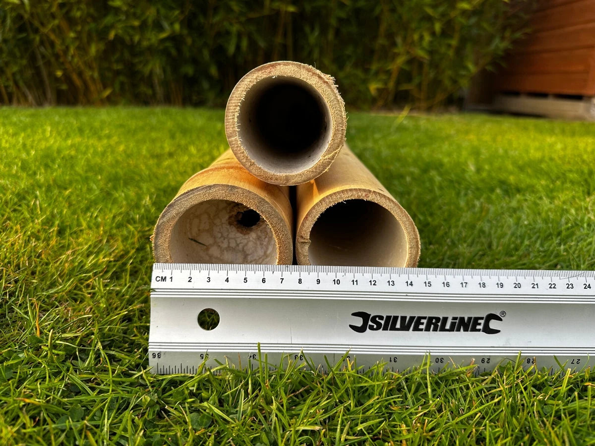 Apus Natural Bamboo Pole 4-6 cm Diameter Short Lengths - Home Garden Decoration