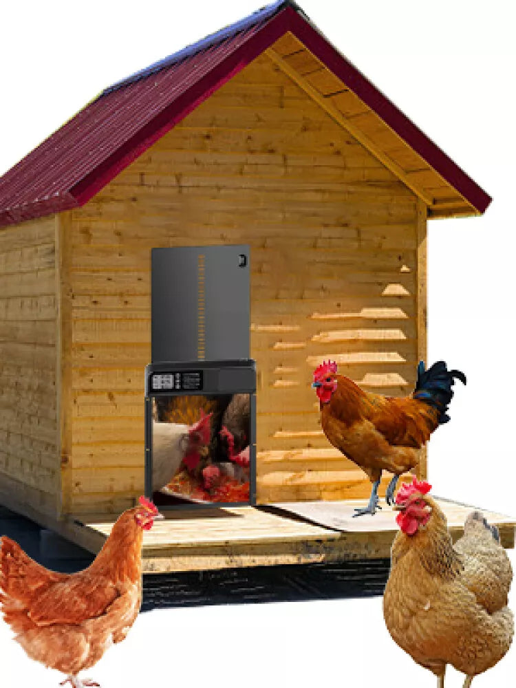 Automatic Chicken Coop Door Waterproof Poultry House Opener Solar Battery