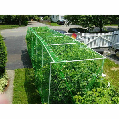 6 Anti Bird Garden Netting Pond Net Protection 2 X 10m Plant Veg Crop Fruit Mesh