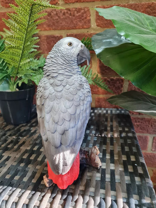 Vivid Arts AFRICAN GREY PARROT. Superb Home or Garden Ornament. Very Realistic