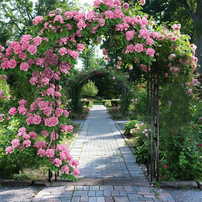 Heavy Metal Garden Arch Trellis Climbing Plants Vine Rack Outdoor Wedding Stand
