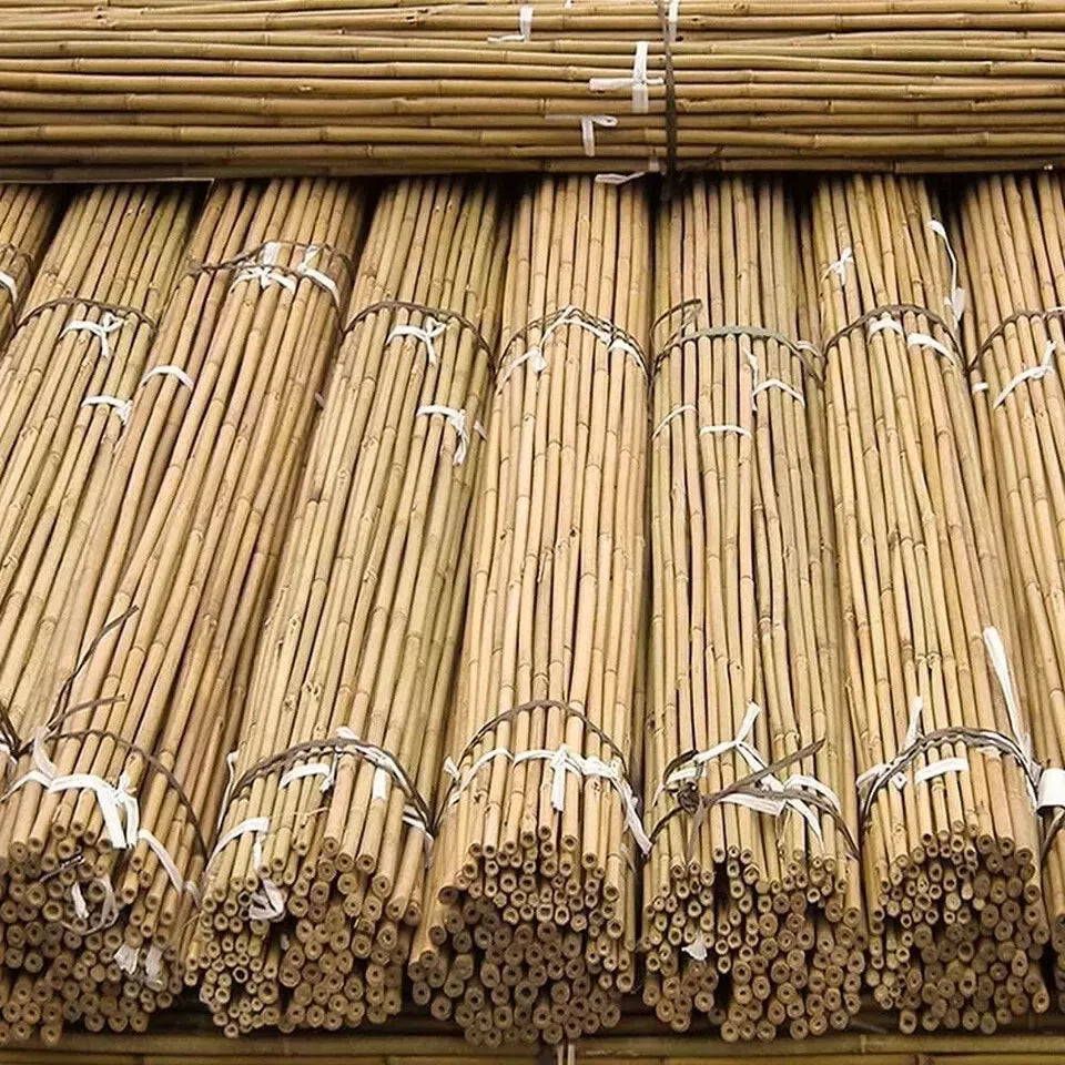 4ft x 50 Extra Large Thick Bamboo Canes Plants Supporting Pole Sticks Garden