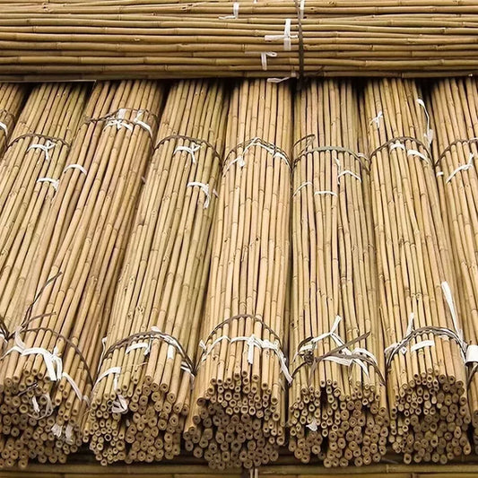 4ft x 50 Extra Large Thick Bamboo Canes Plants Supporting Pole Sticks Garden