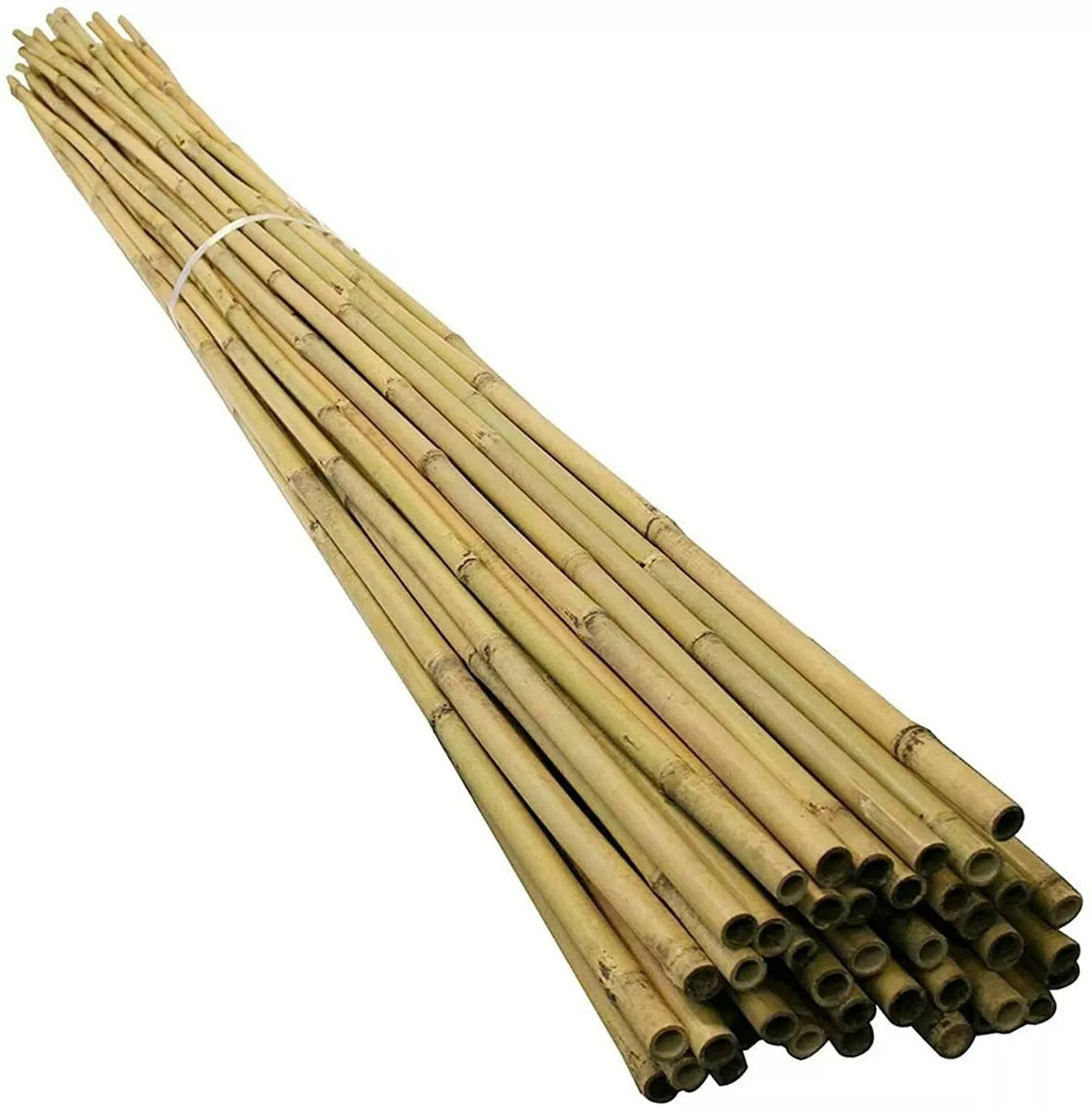 8ft Strong Heavy Duty Professional Bamboo Plant Support Garden Canes