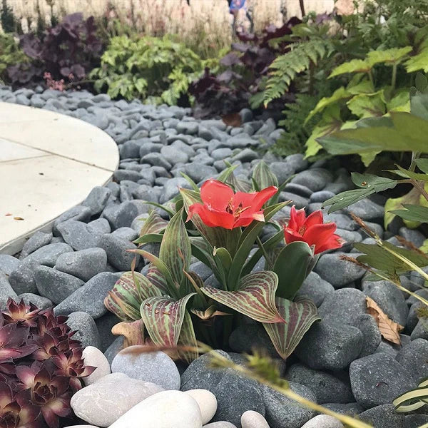 Garden Pebbles 60 - 120mm Decorative Polybag Approx. 20kg