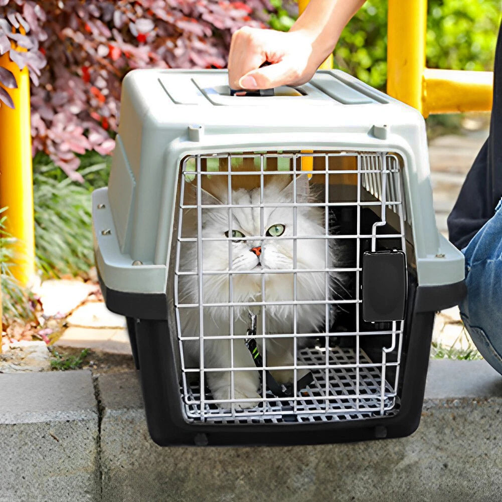Extra Large Pet Carrier Cat Puppy Travel Cage Dog Carry Basket Transporter Box