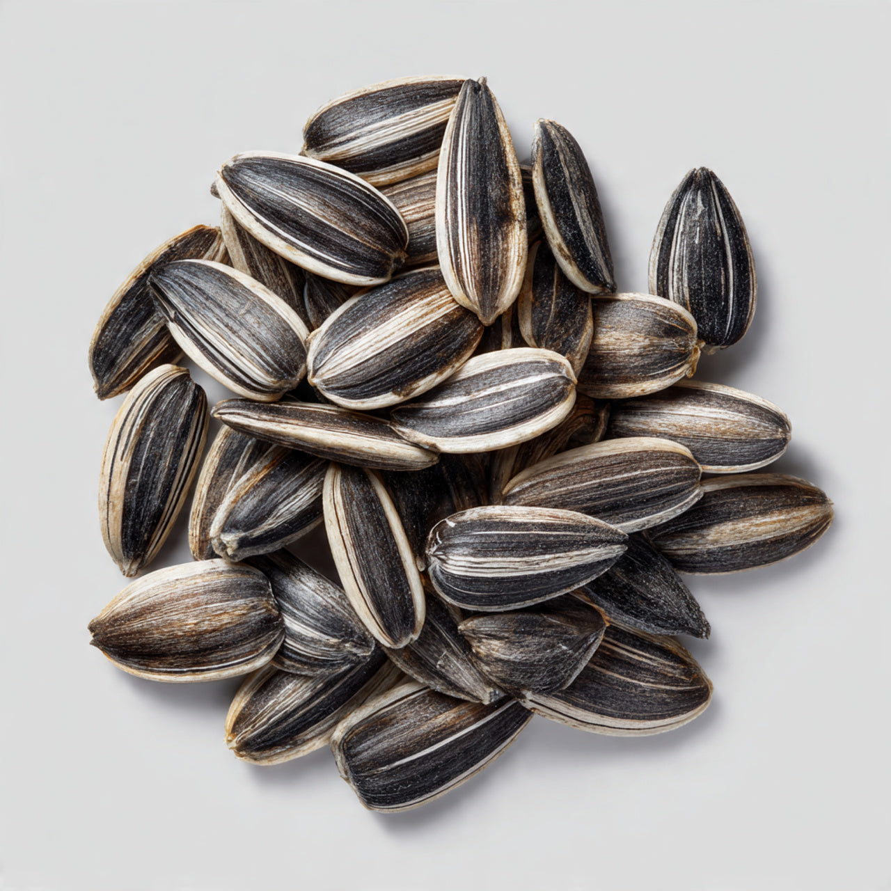 10 Mongolian Giant Sunflower Seeds free delivery