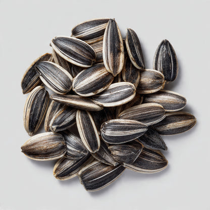 10 Mongolian Giant Sunflower Seeds free delivery