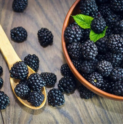 Blueberry, Blackberry & Grape Fruit Plant Mix - 3 Fruit Plants in 9cm Pots