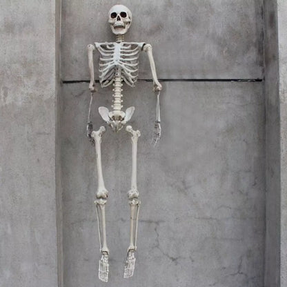 185/165/40CM Giant Life Size Human Skeleton Bones Posable Halloween Hanging Decor Royalcart