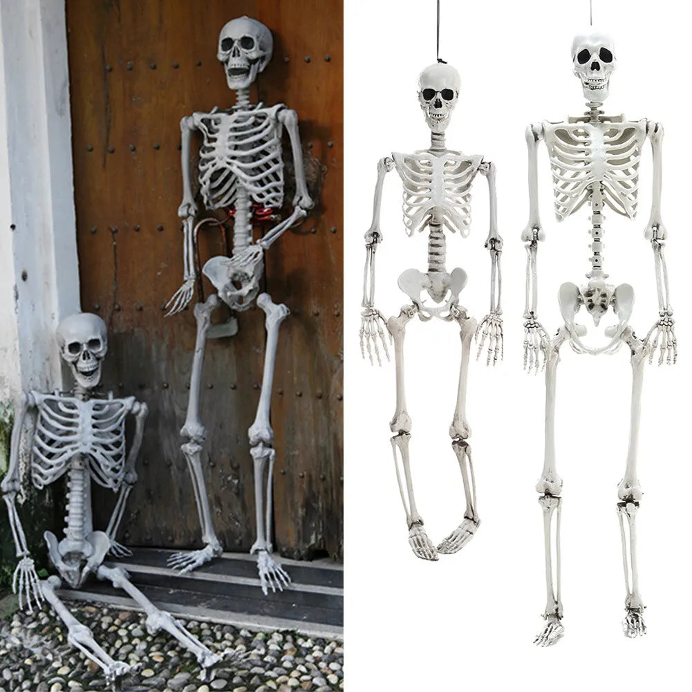 185/165/40CM Giant Life Size Human Skeleton Bones Posable Halloween Hanging Decor Royalcart