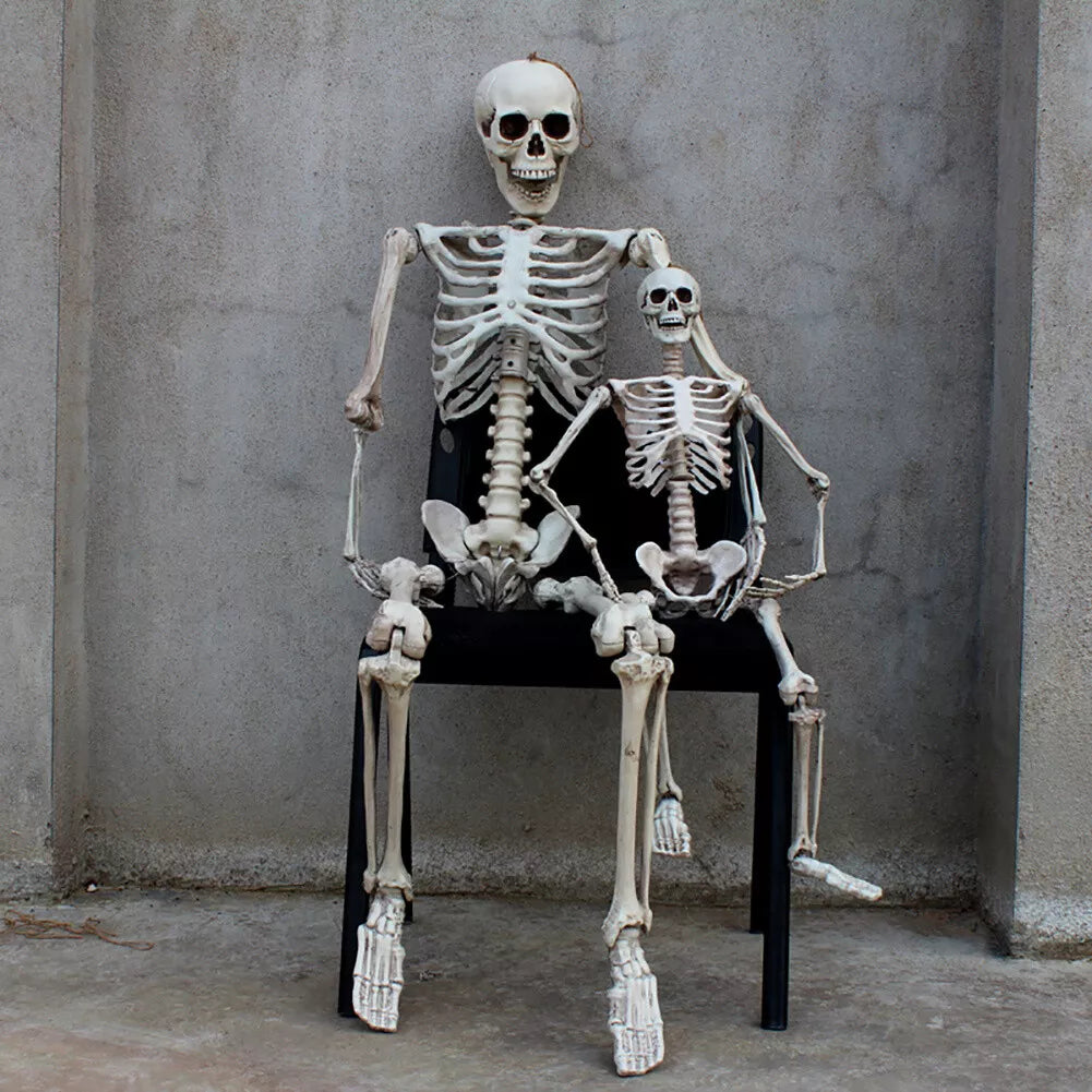 185/165/40CM Giant Life Size Human Skeleton Bones Posable Halloween Hanging Decor Royalcart