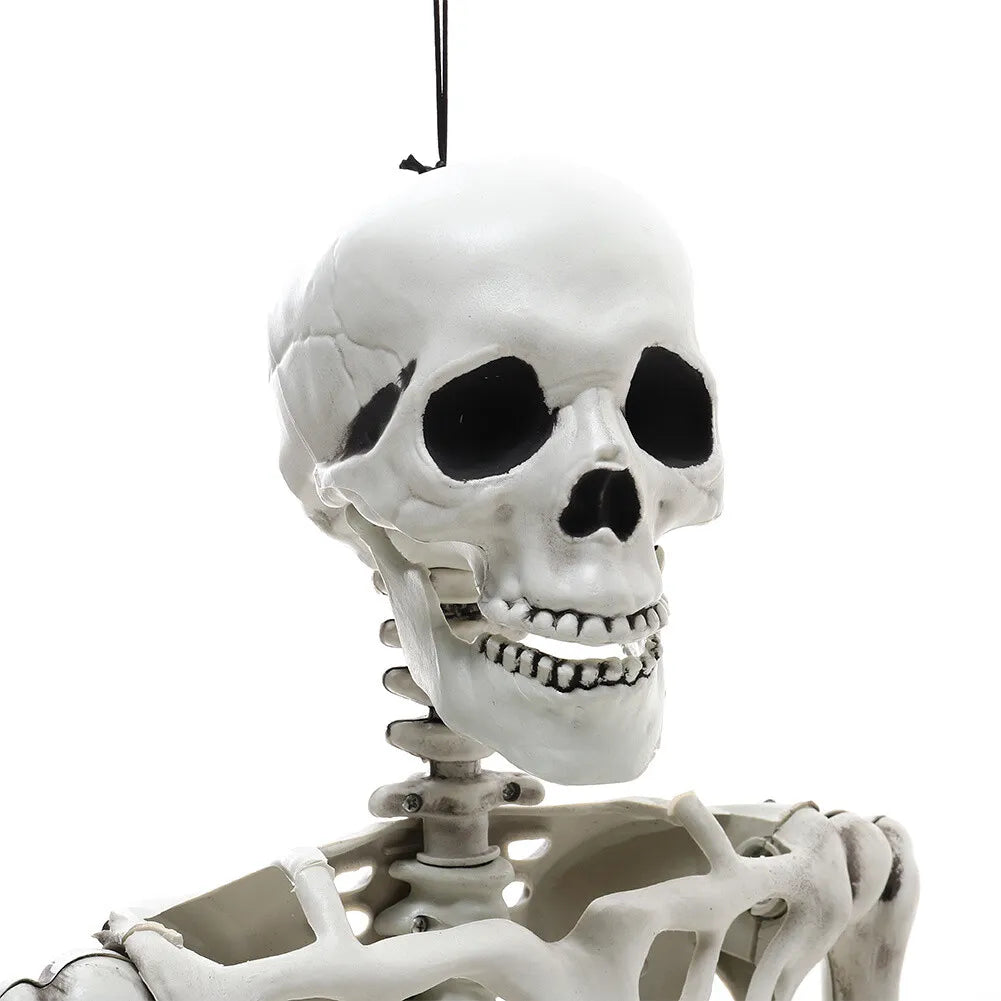 185/165/40CM Giant Life Size Human Skeleton Bones Posable Halloween Hanging Decor Royalcart