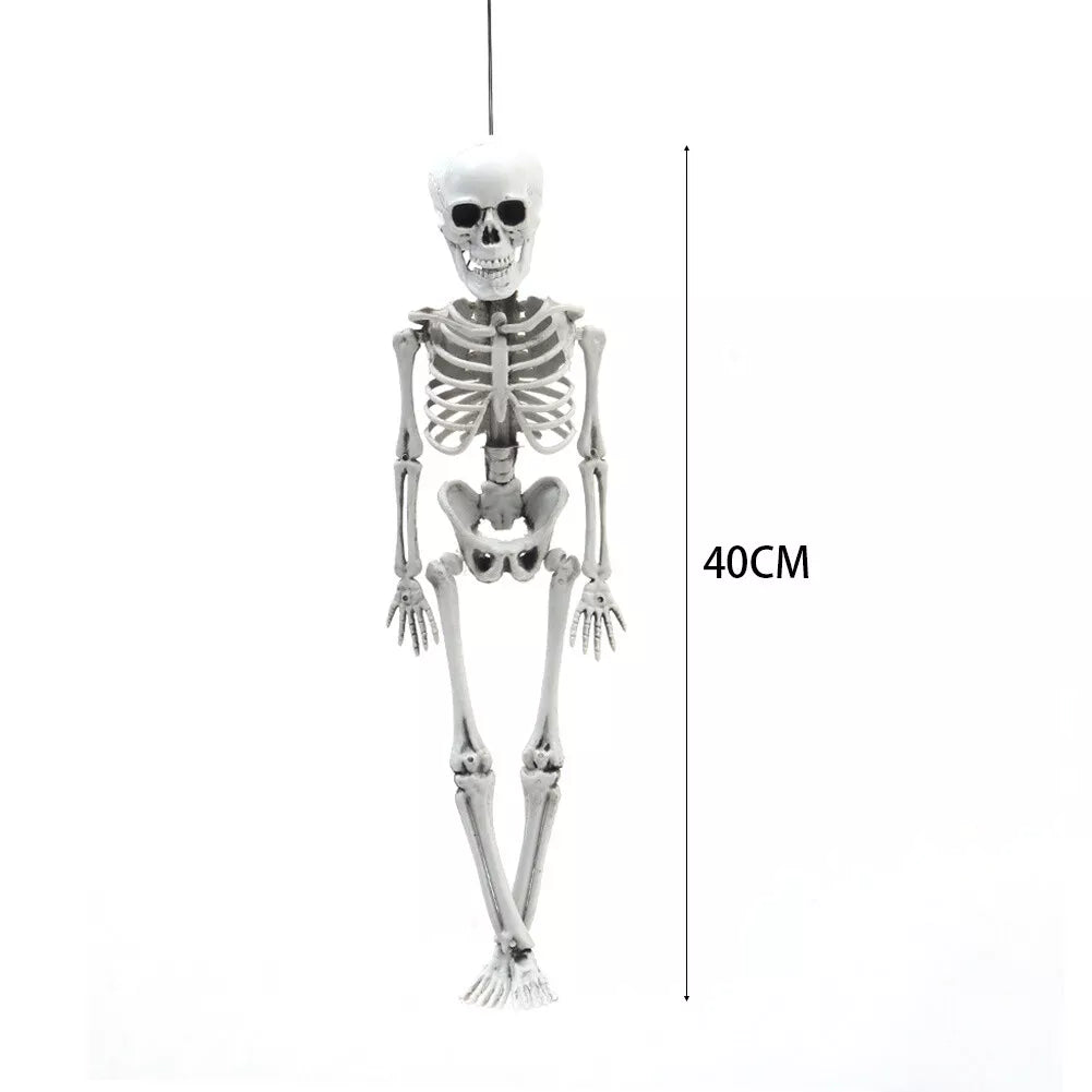 185/165/40CM Giant Life Size Human Skeleton Bones Posable Halloween Hanging Decor Royalcart