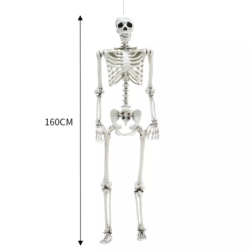 185/165/40CM Giant Life Size Human Skeleton Bones Posable Halloween Hanging Decor Royalcart