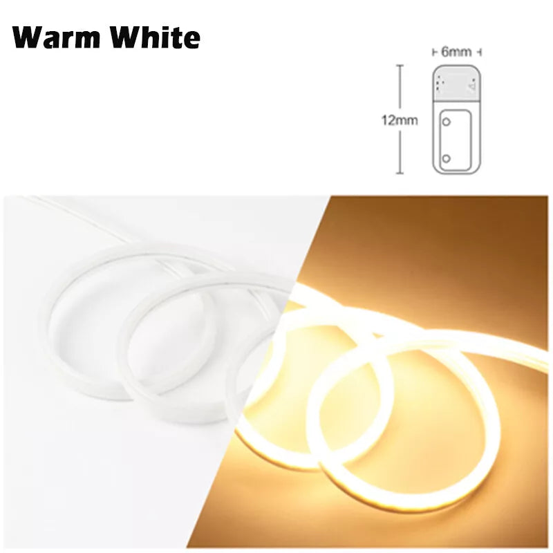 5M LED Strip Lights Flexible Neon Flex Rope Lights Waterproof Outdoor Lighting 12V Royalcart
