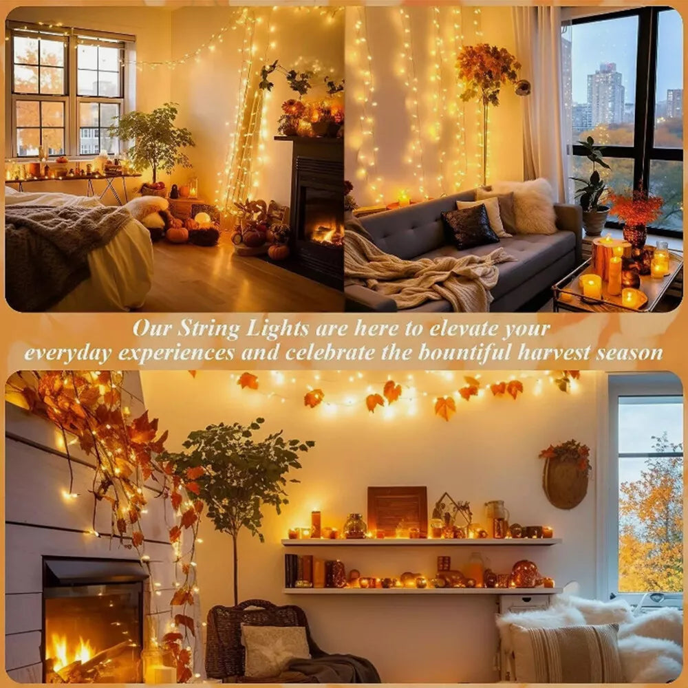 Fairy String Lights 10-50m Mains Plug In Christmas Tree Indoor & Outdoor Remote Royalcart