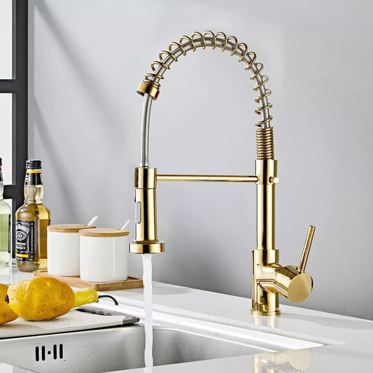 Modern Kitchen Tap Monobloc Single Lever Sink Mixer Tap with Pull Out Hose Spray