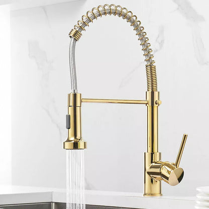 Modern Kitchen Tap Monobloc Single Lever Sink Mixer Tap with Pull Out Hose Spray