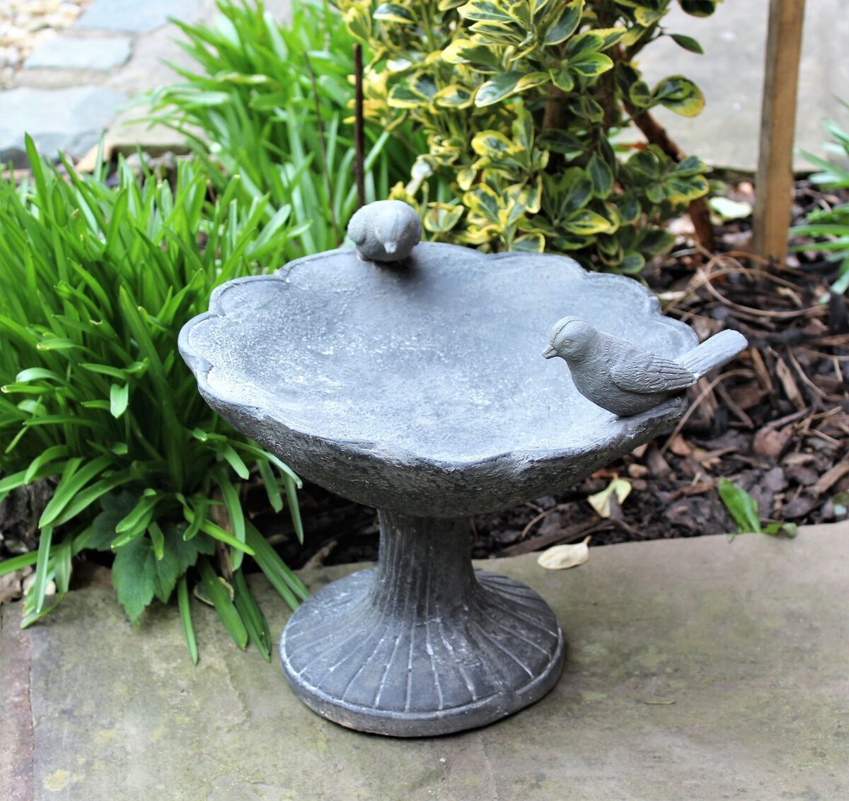 BIRD BATH BOWL OUTDOOR ORNAMENTAL TRADITIONAL  GARDEN WATER WEATHERPROOF Royalcart