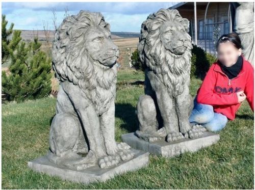 Pair Large Proud Lions Heavy Stone Cast Garden Statues by DGS UK 330KGS Royalcart